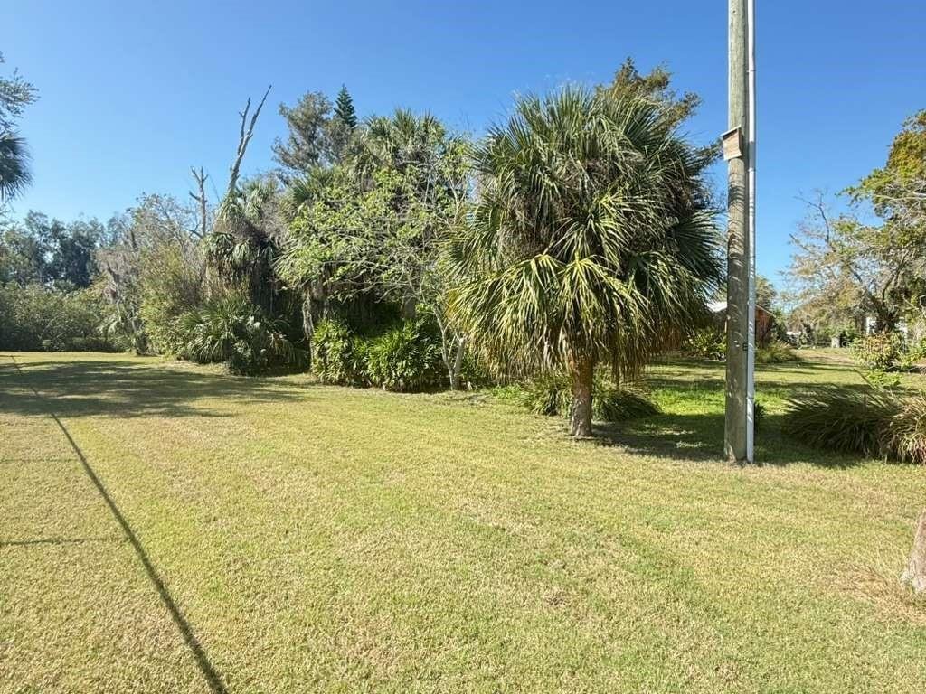 House in Tampa, Florida, United States 3 - 17383175