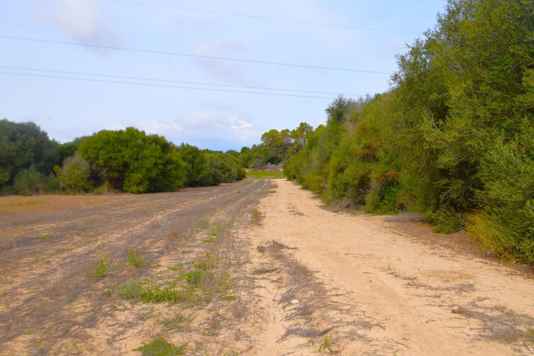 Land in Muro, Balearic Islands, Spain 3 - 17383099