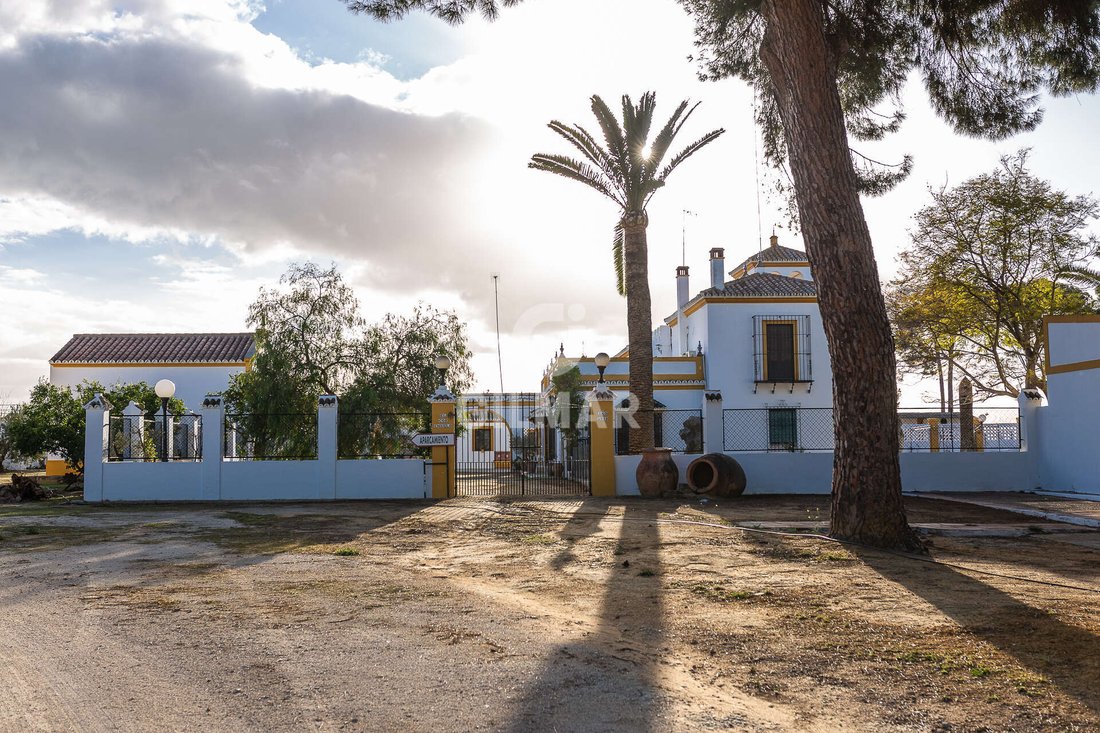 Villa in Marchena, Andalusia, Spain 3 - 17381767