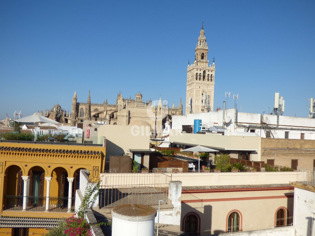 House in Casco Antiguo, Seville, Spain 5 - 17381720