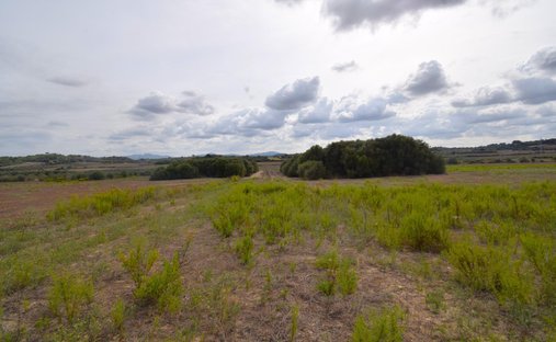 Land in Muro, Balearische Inseln, Spanien 1
