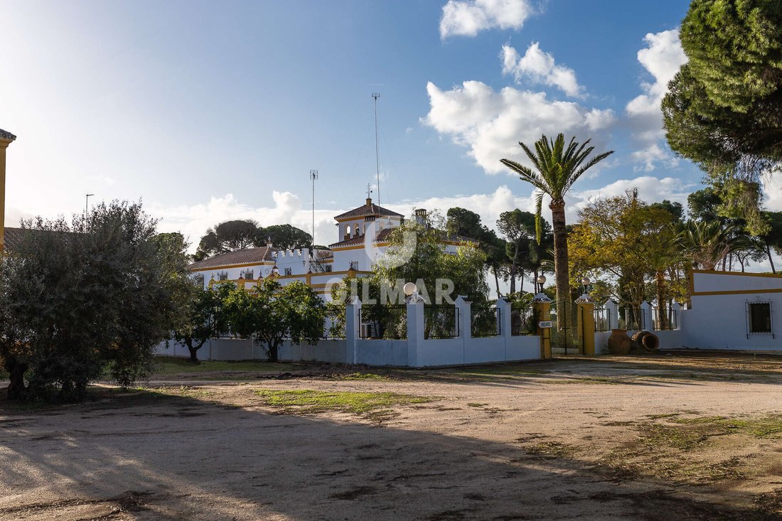 Villa in Marchena, Andalusia, Spain 2 - 17381767