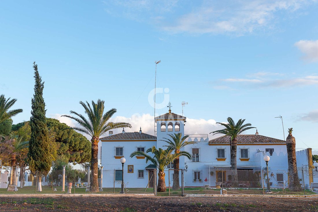 Villa in Marchena, Andalusia, Spain 4 - 17381767