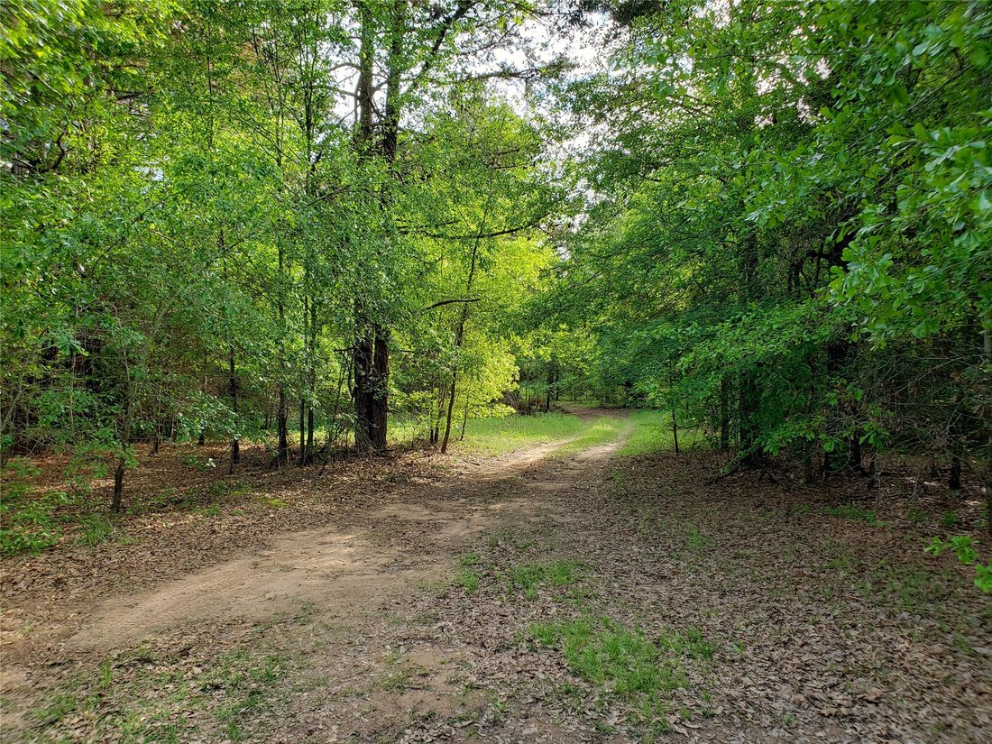 House in Rusk, Texas, United States 2 - 17342059