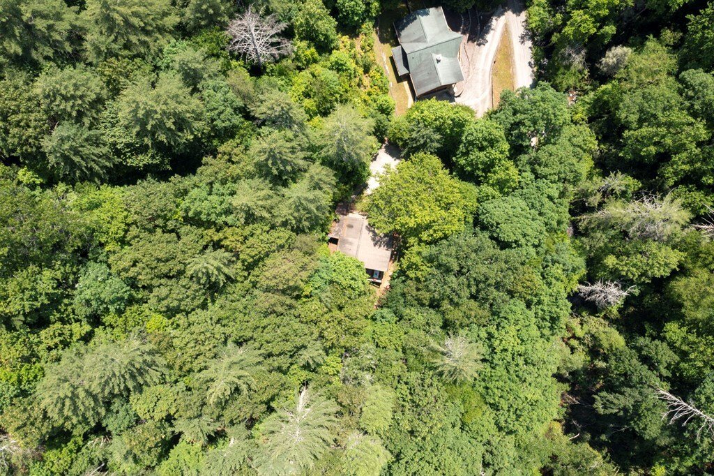 House in Ellijay, Georgia, United States 4 - 17385451