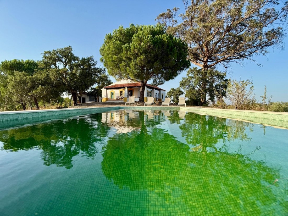 Farm Ranch in Grandola e Santa Margarida da Serra, Setubal, Portugal 2 - 17386254