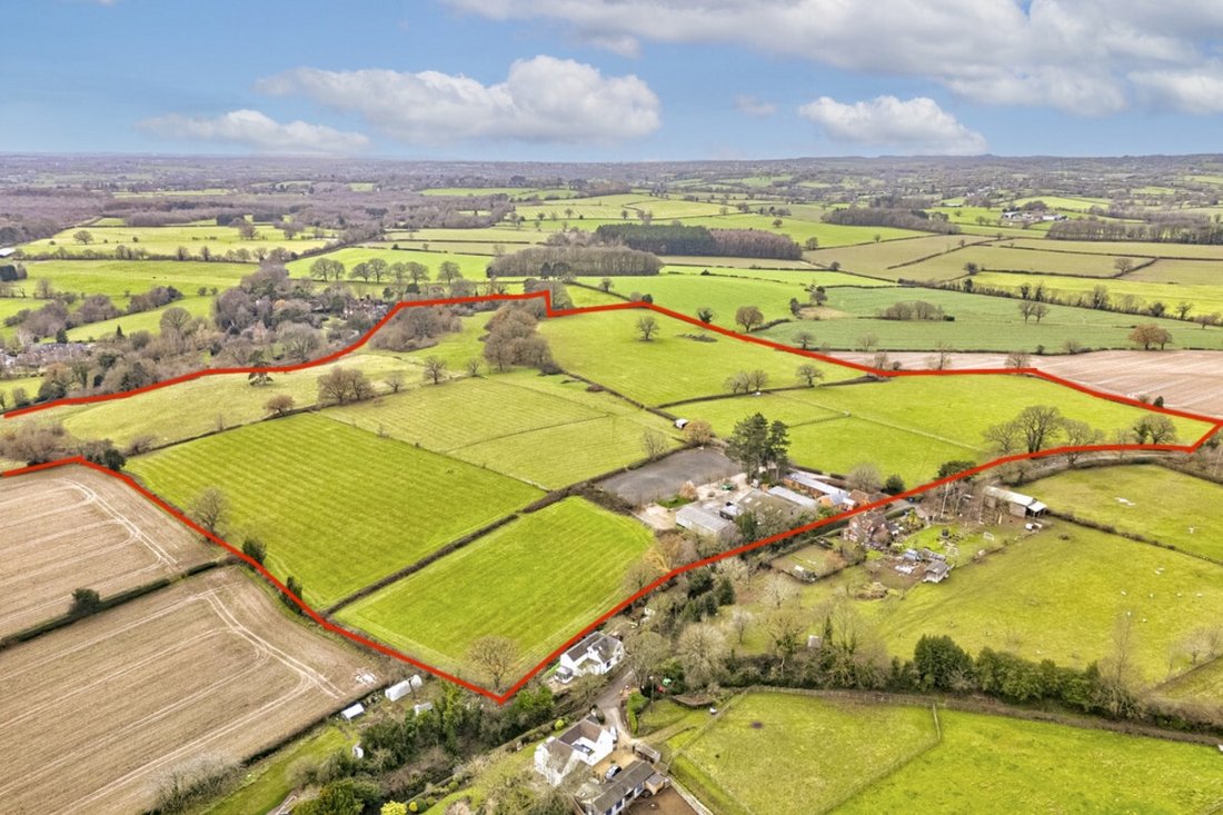 Farm Ranch in Lichfield, England 1 - 17386102