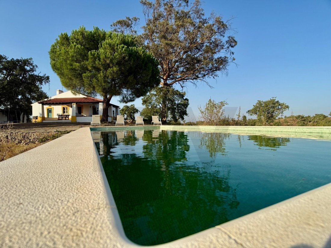 Farm Ranch in Grandola e Santa Margarida da Serra, Setubal, Portugal 4 - 17386254
