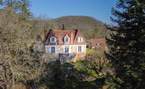 Estate in Vezac, Nouvelle-Aquitaine, France 1