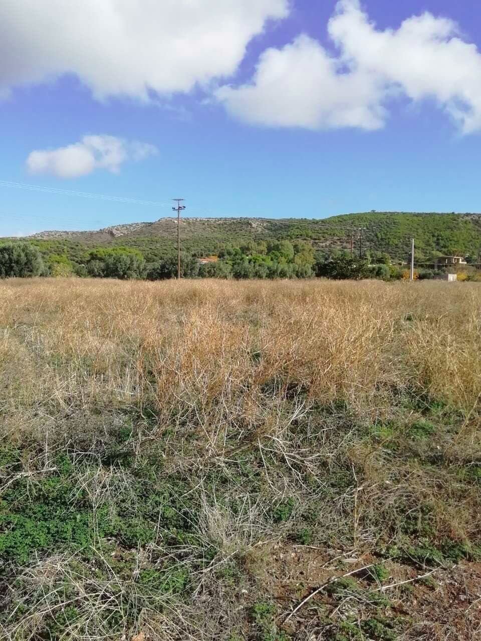 Land in Lavreotiki Community, Attica, Greece 1 - 17386265