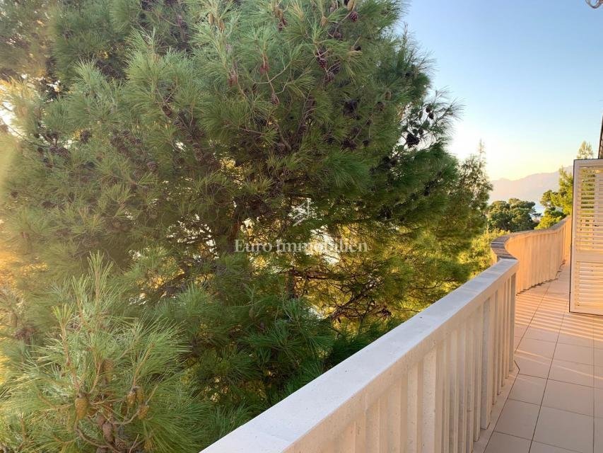 Apartment in Baska Voda, Split-Dalmatia County, Croatia 3 - 17386270