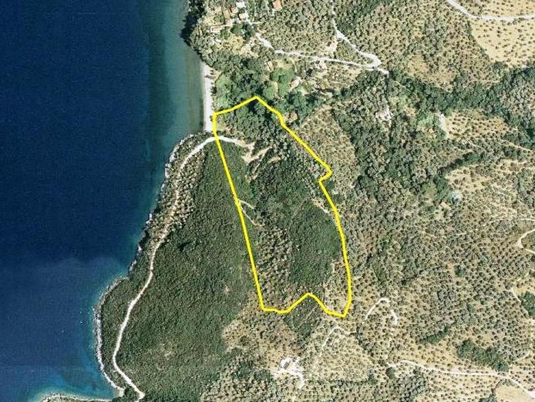 Land in Municipal unit of Argalasti, Thessaly and Central Greece, Greece 3 - 17386215