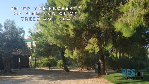 Villa in Kalyvia Thorikou, Attica, Greece 4 - 17386225
