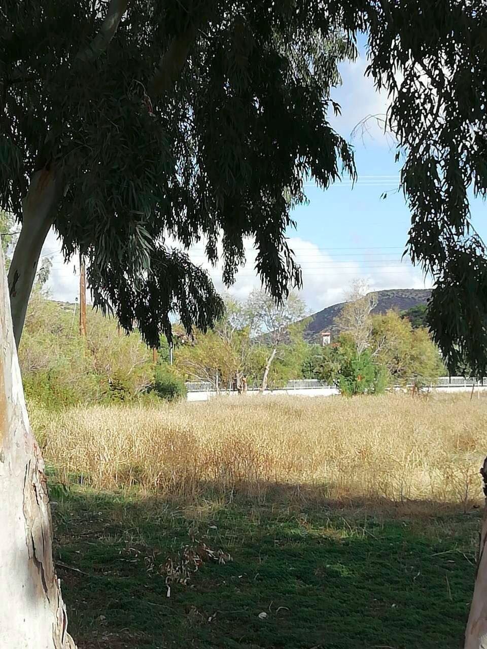 Land in Lavreotiki Community, Attica, Greece 4 - 17386265