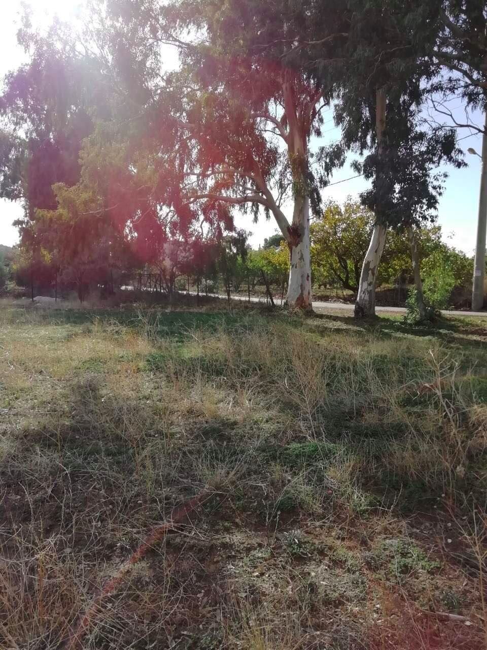 Land in Lavreotiki Community, Attica, Greece 3 - 17386265