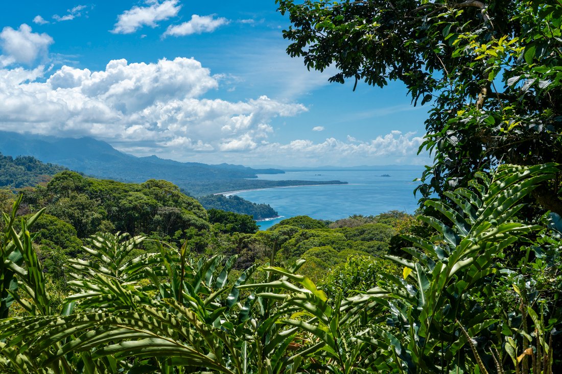 House in Savegre de Aguirre, Puntarenas Province, Costa Rica 3 - 17387395