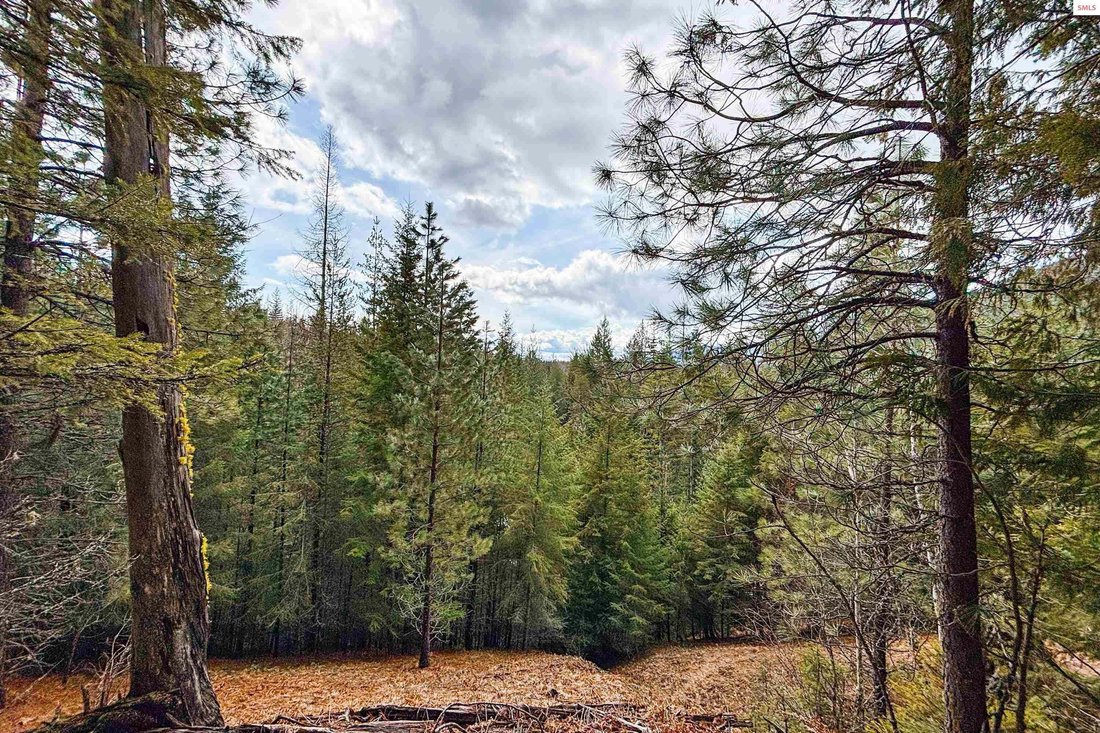 Land in Sandpoint, Idaho, United States 1 - 17103729