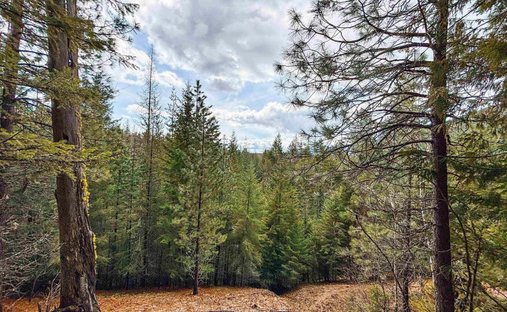 Land in Sandpoint, Idaho, United States 1