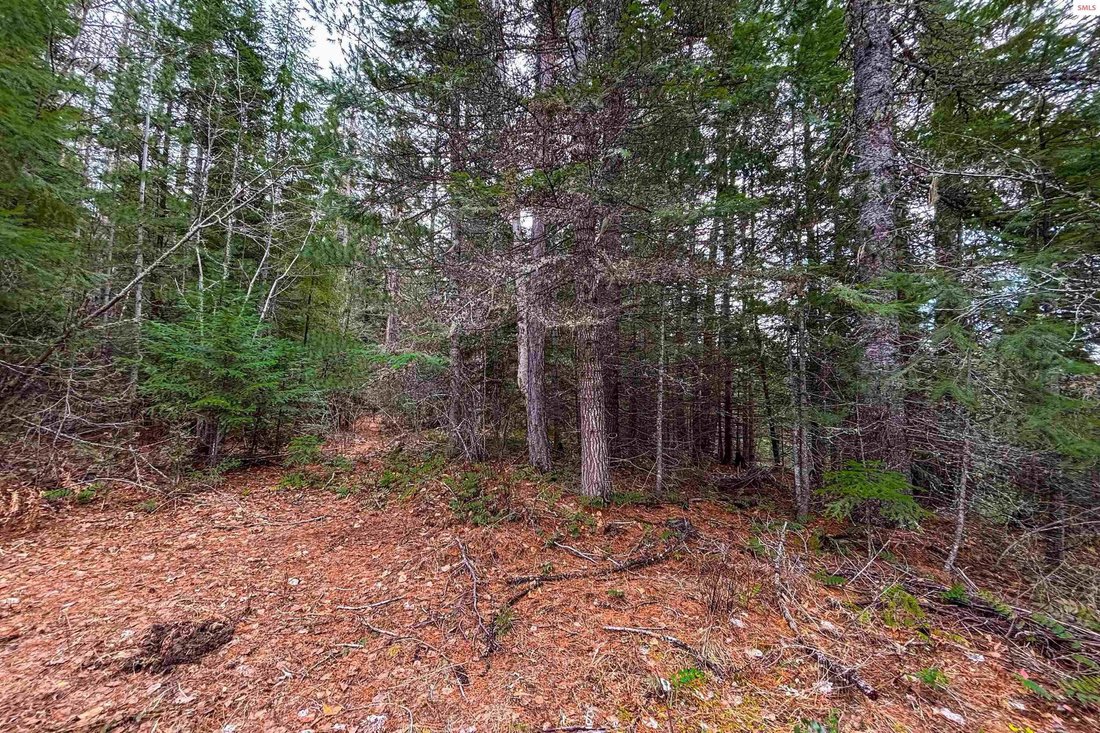 Land in Sandpoint, Idaho, United States 4 - 17103729