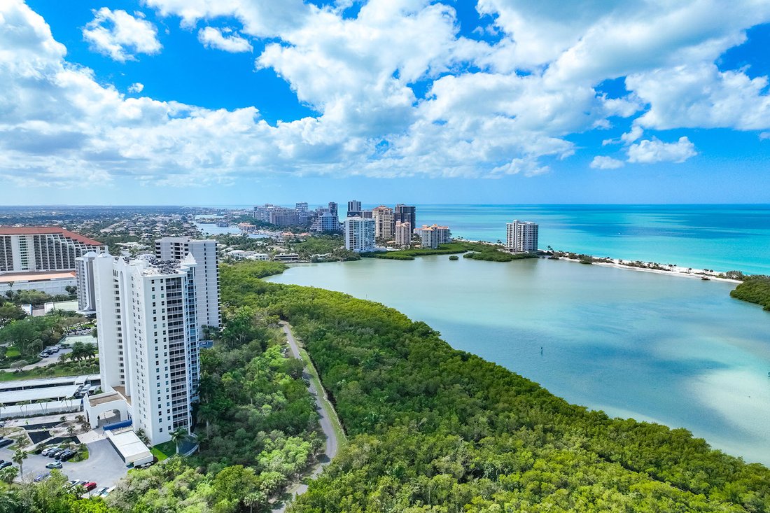 Condo in Naples, Florida, United States 2 - 17387543