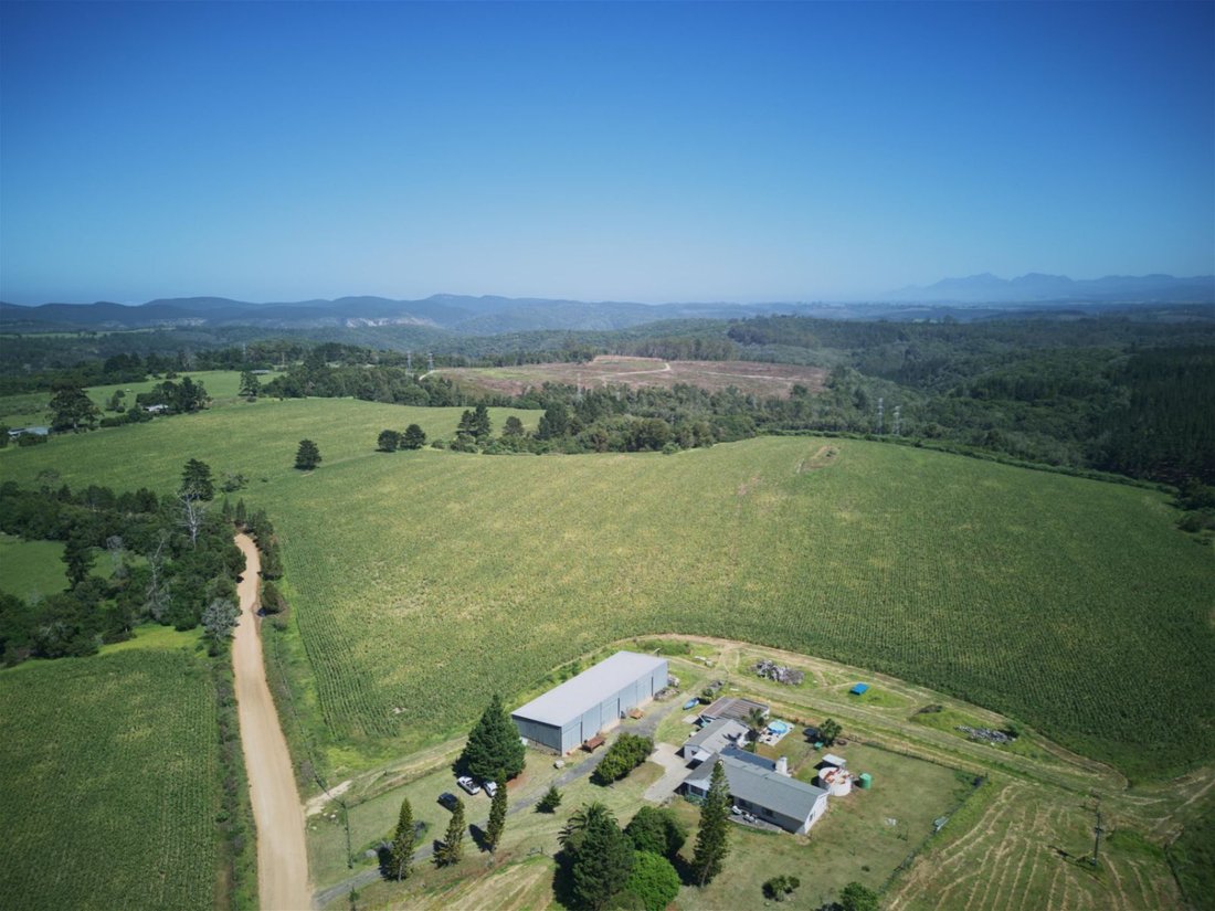 Farm Ranch in Johannesburg, Gauteng, South Africa 1 - 17388400