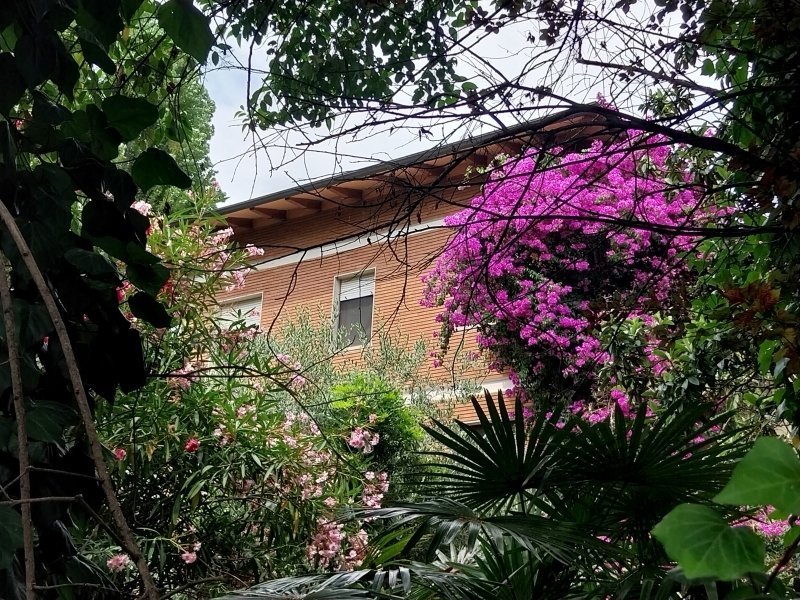 Apartment in Pietrasanta, Tuscany, Italy 2 - 17388144