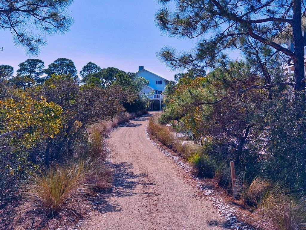 House in Saint George Island, Florida, United States 2 - 17388186