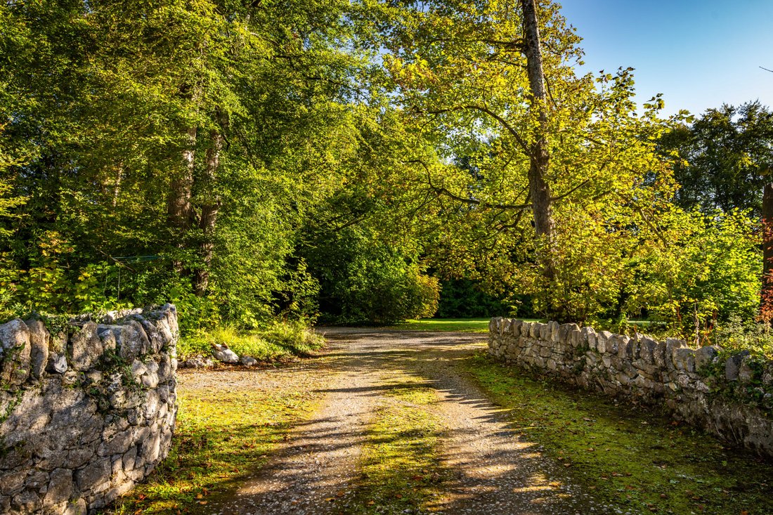 House in Rathkeale, County Limerick, Ireland 3 - 17388578