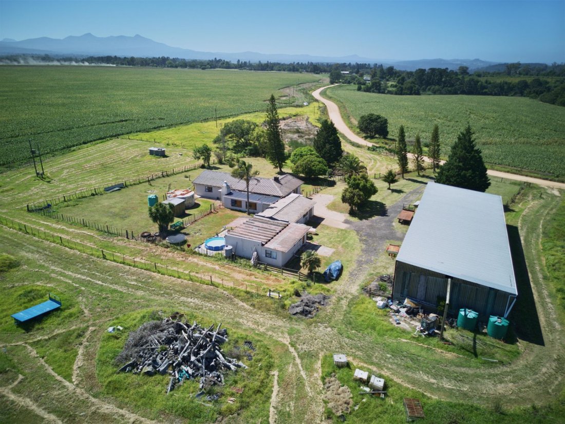 Farm Ranch in Johannesburg, Gauteng, South Africa 4 - 17388400