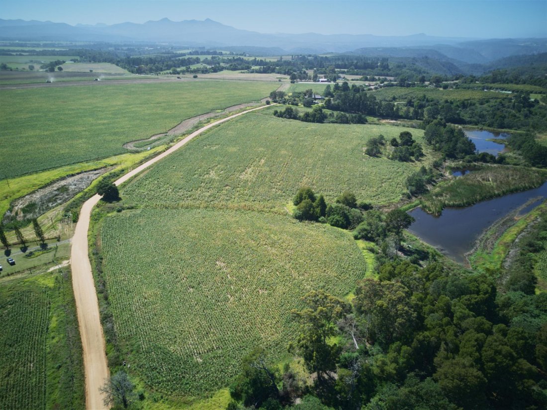 Farm Ranch in Johannesburg, Gauteng, South Africa 4 - 17388371