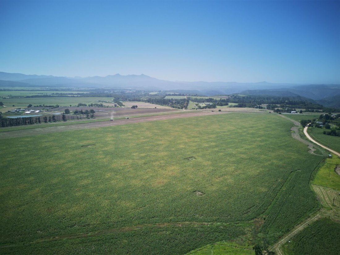 Farm Ranch in Johannesburg, Gauteng, South Africa 1 - 17388371