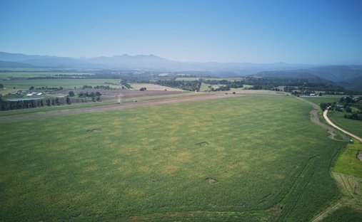 Azienda agricola a Johannesburg, Gauteng, Sudafrica 1