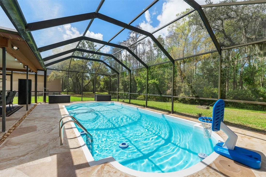 House in Trinity, Florida, United States 3 - 17388076