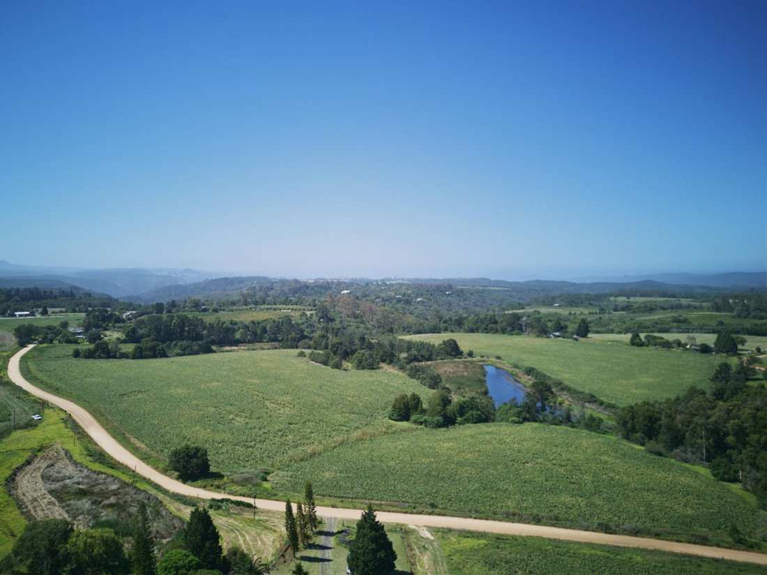 Farm Ranch in Johannesburg, Gauteng, South Africa 3 - 17388371