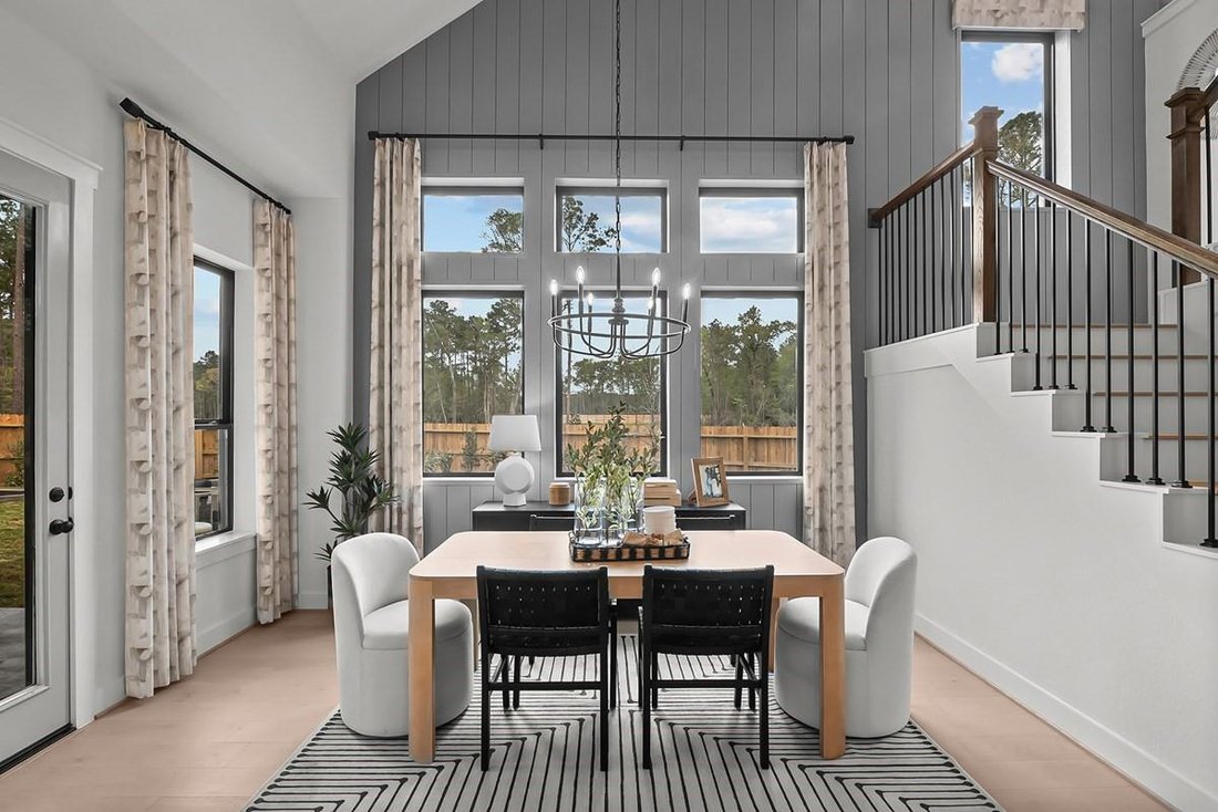 House in Houston, Texas, United States 5 - 17388289