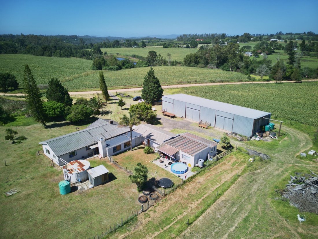 Farm Ranch in Johannesburg, Gauteng, South Africa 5 - 17388400