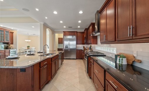 House in Estero, Florida, United States 1