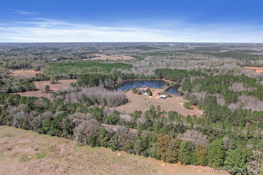 House in Ozark, Alabama, United States 4 - 17389405