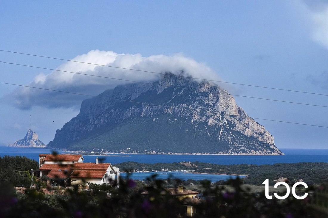 Maison à Loiri Porto San Paolo, Sardaigne, Italie 2 - 17389092