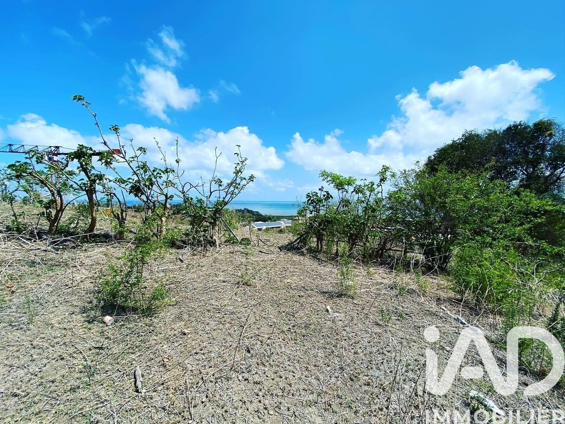 Land in France 1 - 17389763