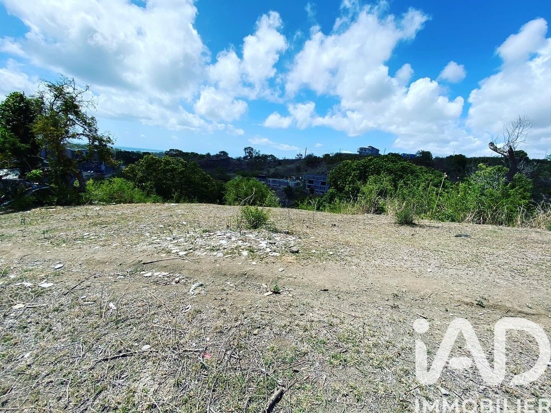 Land in France 5 - 17389763