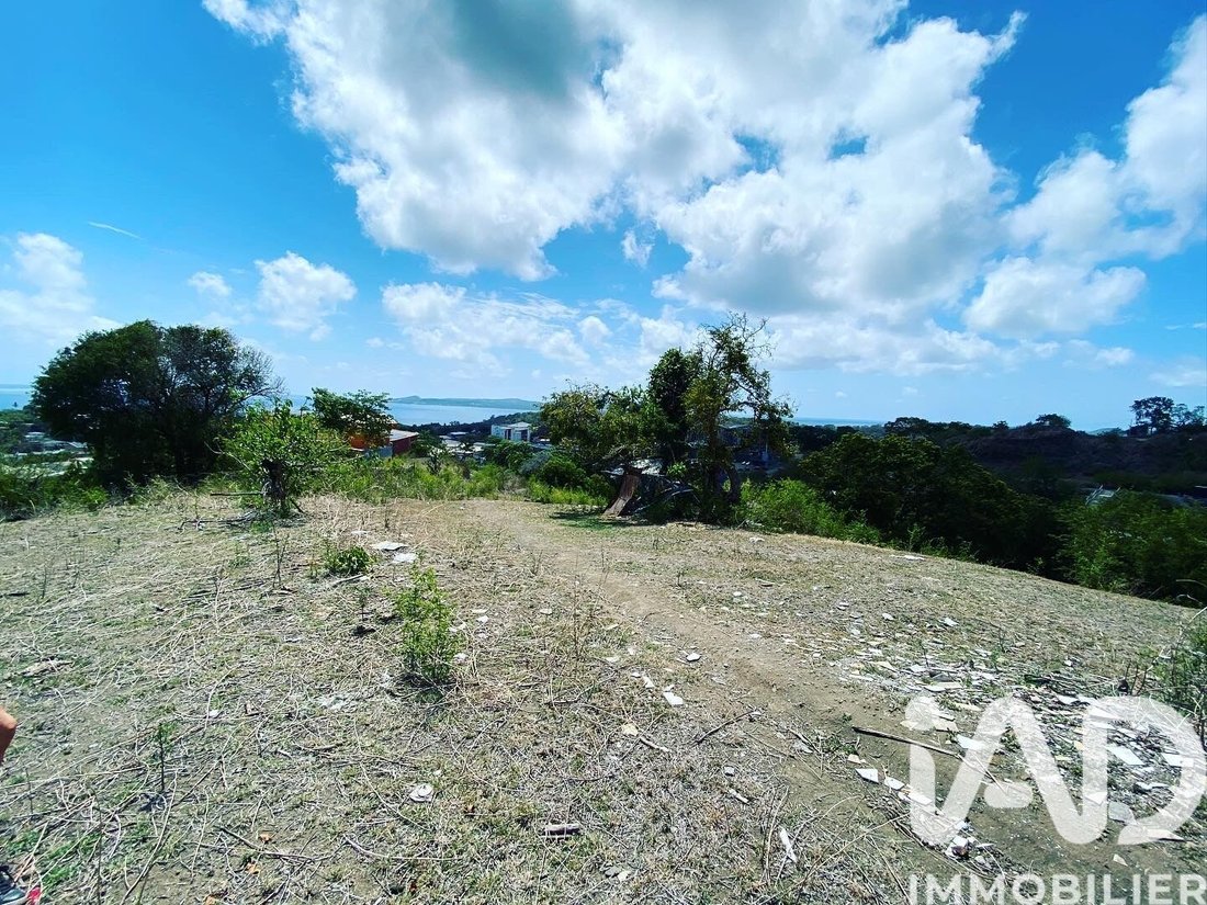 Land in France 2 - 17389763