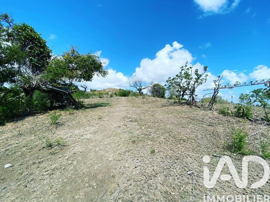 Land in France 3 - 17389763