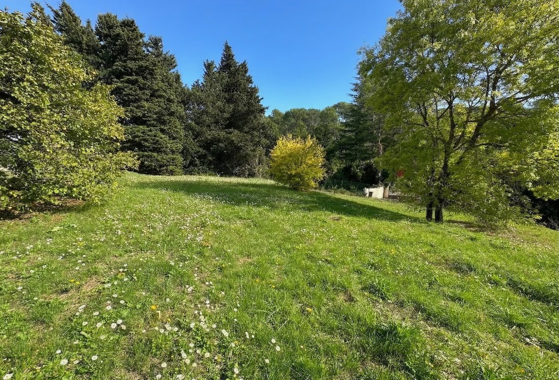 Land in Mougins, Provence-Alpes-Côte d'Azur, France 1 - 17003830