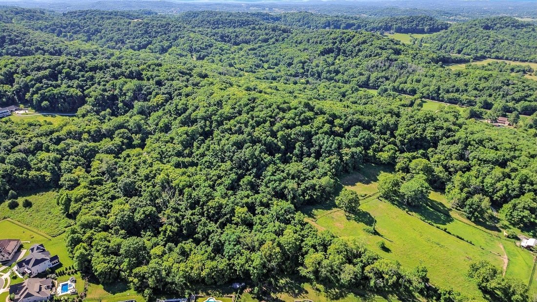 Land in Franklin, Tennessee, United States 1 - 17389292