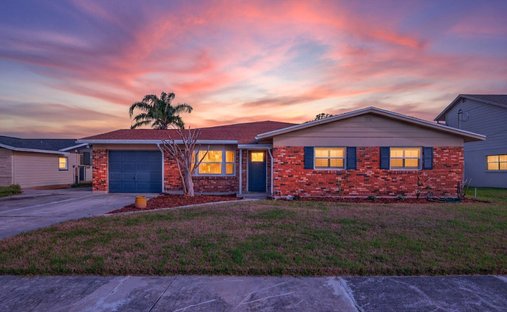 House in Tampa, Florida, United States 1