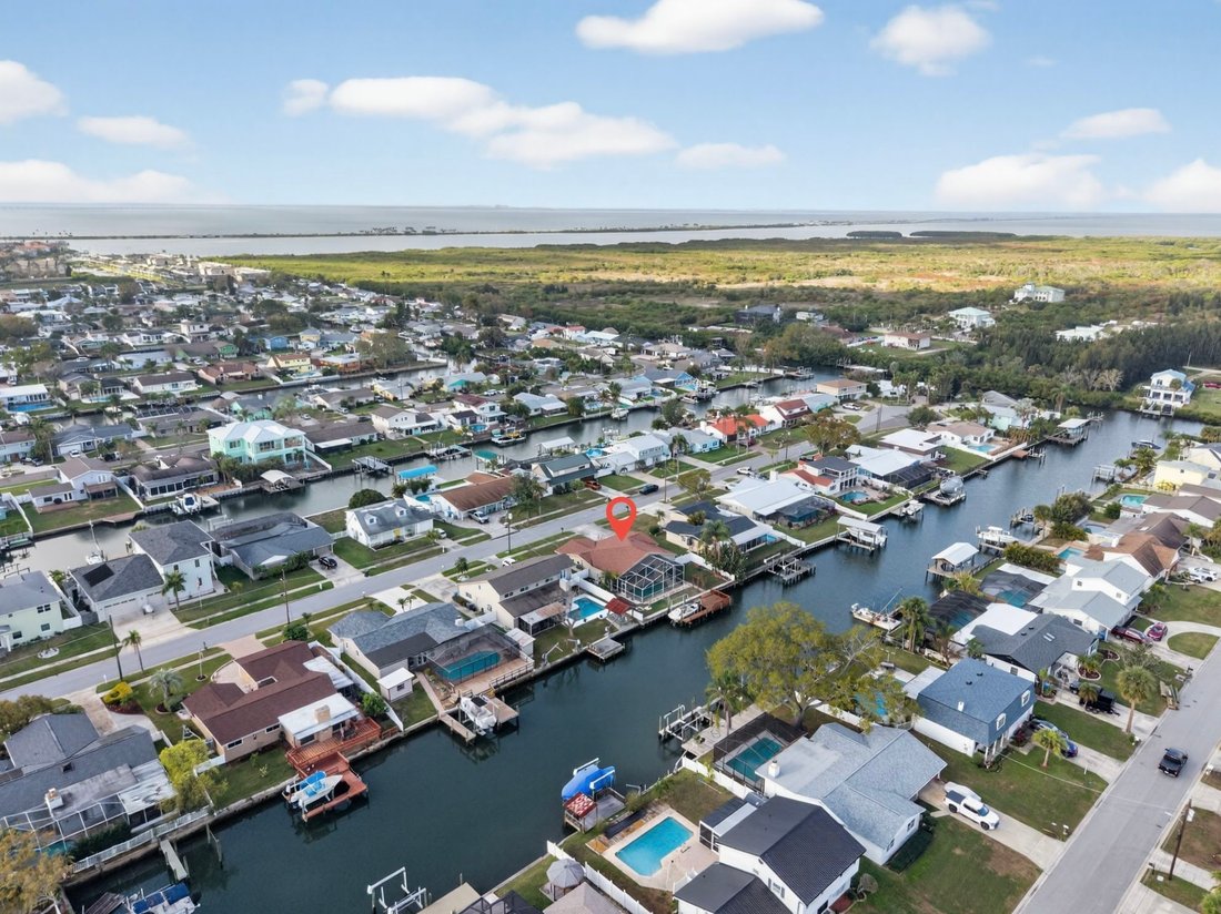 House in Tampa, Florida, United States 3 - 17388949