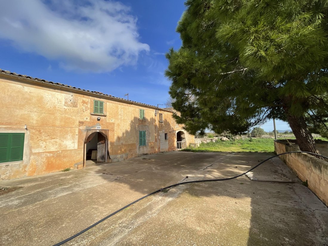 Maisons de campagne à Felanitx, Îles Baléares, Espagne 2 - 17394975