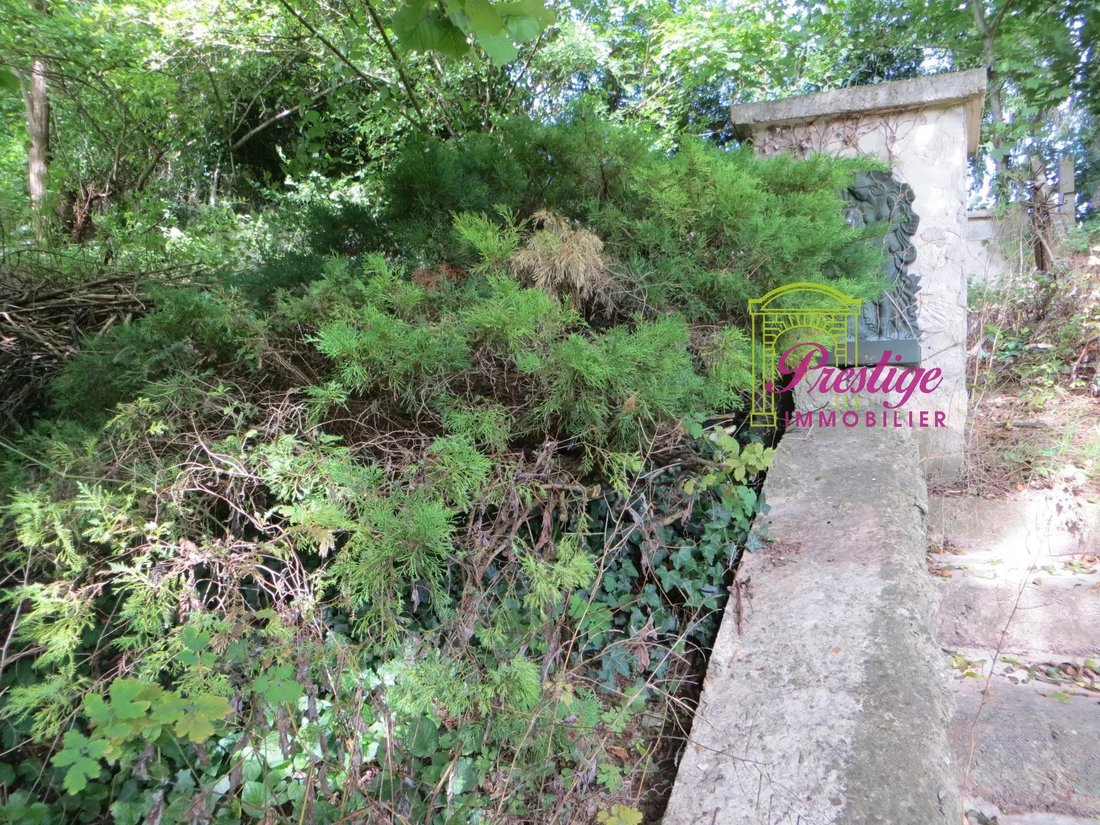 House in Le Mesnil-le-Roi, Ile-de-France, France 3 - 16315899