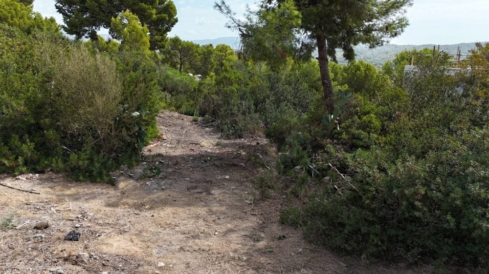 Altro a Cala Fornells, Calvià, Isole Baleari 1 - 17391875